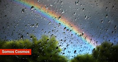 ¿Cómo se llama el olor a lluvia?