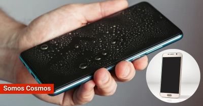 ¿Qué hacer si el celular se cae al agua?