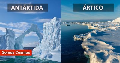 ¿Cuál es la diferencia entre la Antártida y el Ártico?