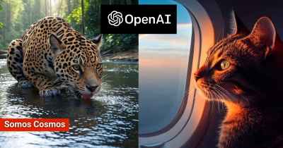 OpenAI lanza Sora, que te permitirá convertir textos a vídeos con ChatGPT