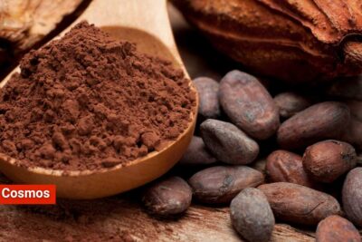 ¿En qué país se originó el cacao? No es México ni Perú
