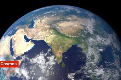 ¿Cuál es el único animal que puede verse desde el espacio?