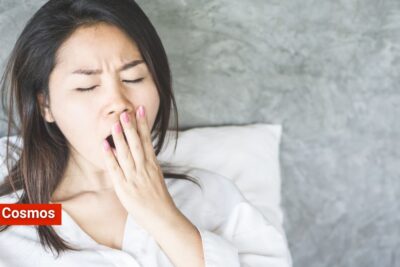¿Por qué los bostezos son tan contagiosos?