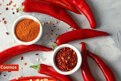 ¿Por qué consumimos comida picante?