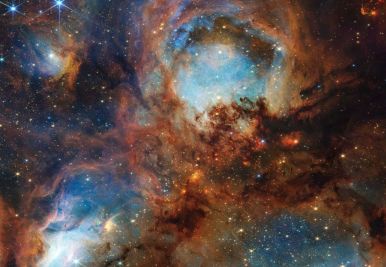 James Webb revela los secretos de la Nebulosa Pata de Gato con esta deslumbrante imagen